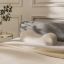 Beauty Sleep 11698-001 Подушка ортопедическая Beauty Sleep Aula