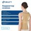 ORLETT 9335-003 Корректор осанки  ORLETT TLSO-250(A) с 2 ребрами жесткости