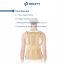 ORLETT 9335-003 Корректор осанки  ORLETT TLSO-250(A) с 2 ребрами жесткости